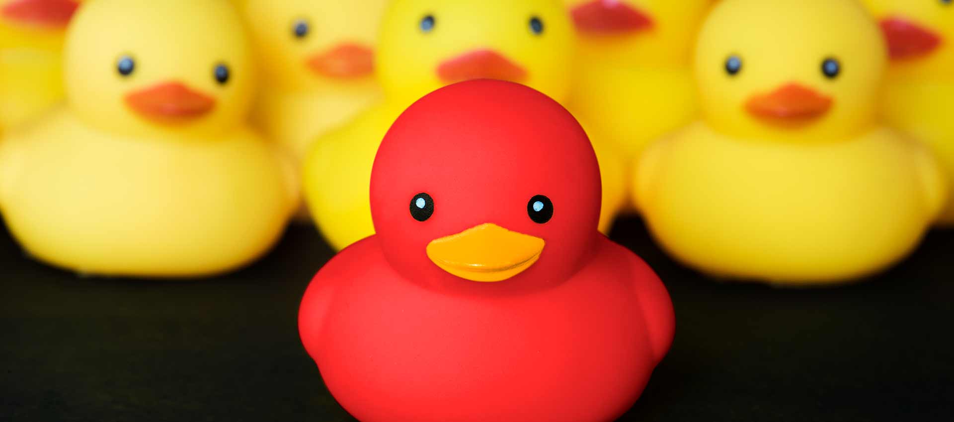 Para triunfar en el mundo digital debes ser diferente! | Cainetwork Creative & Web Studio - Creando y construyendo marcas digitales exitosas